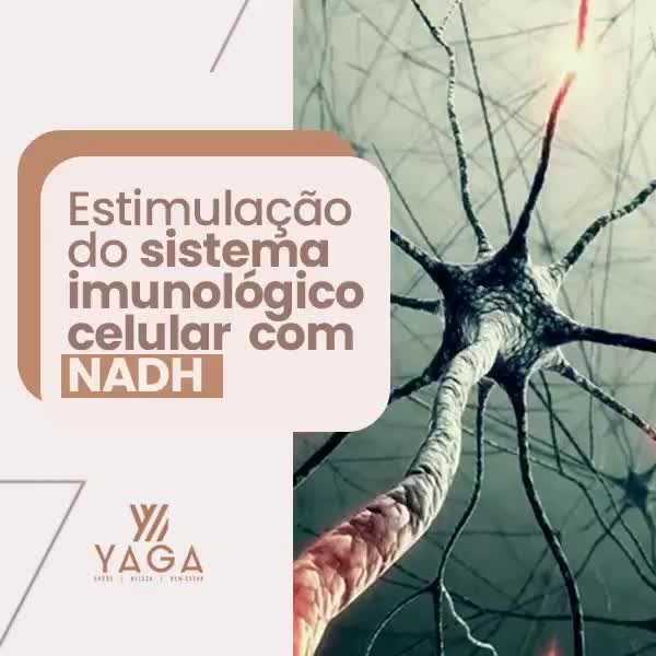 Estimulação do sistema imunológico celular com NADH